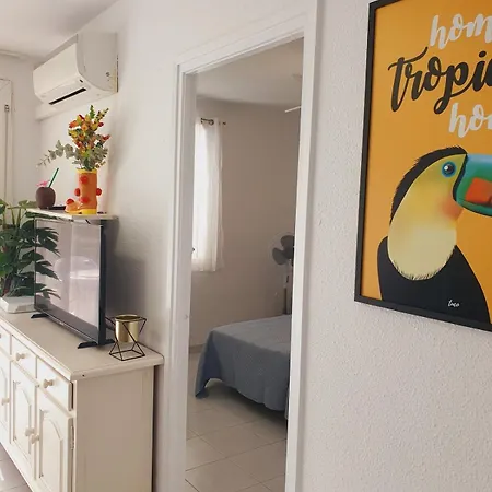 Tropical Apartment